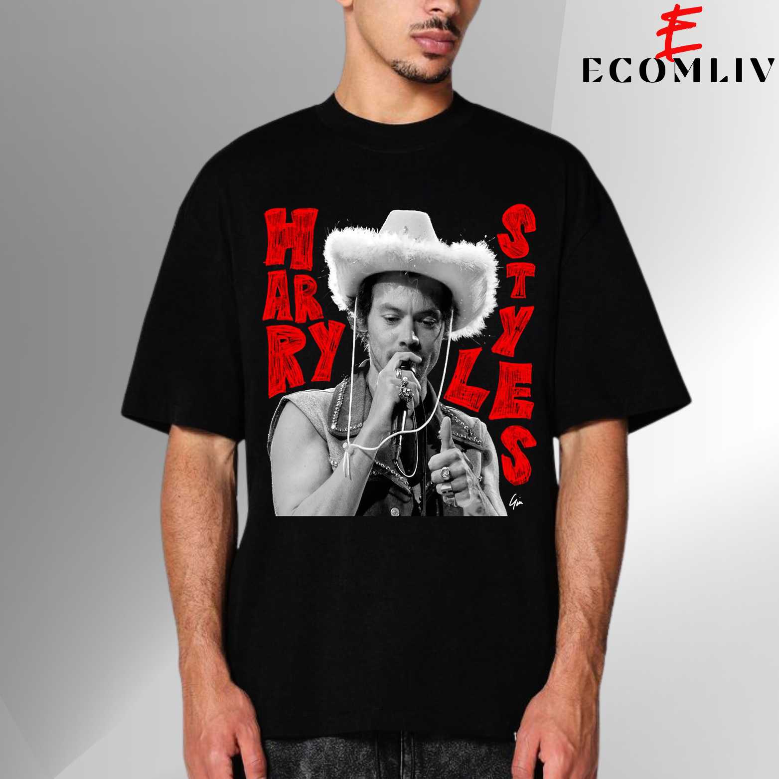 Harry Styles Vintage Tour Tee, Unisex T Shirt, Collector Gift Shirt, Fan Streetwear Apparel